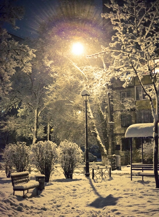 Фотографія winter fairytale / Khomenko Maryna / photographers.ua