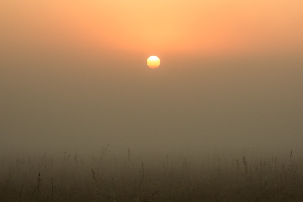 Фотографія Перші весняні тумани! / Ігор Кирильчук / photographers.ua