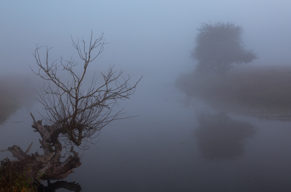 Фотографія Що в тумані не привидиться... / Ігор Кирильчук / photographers.ua