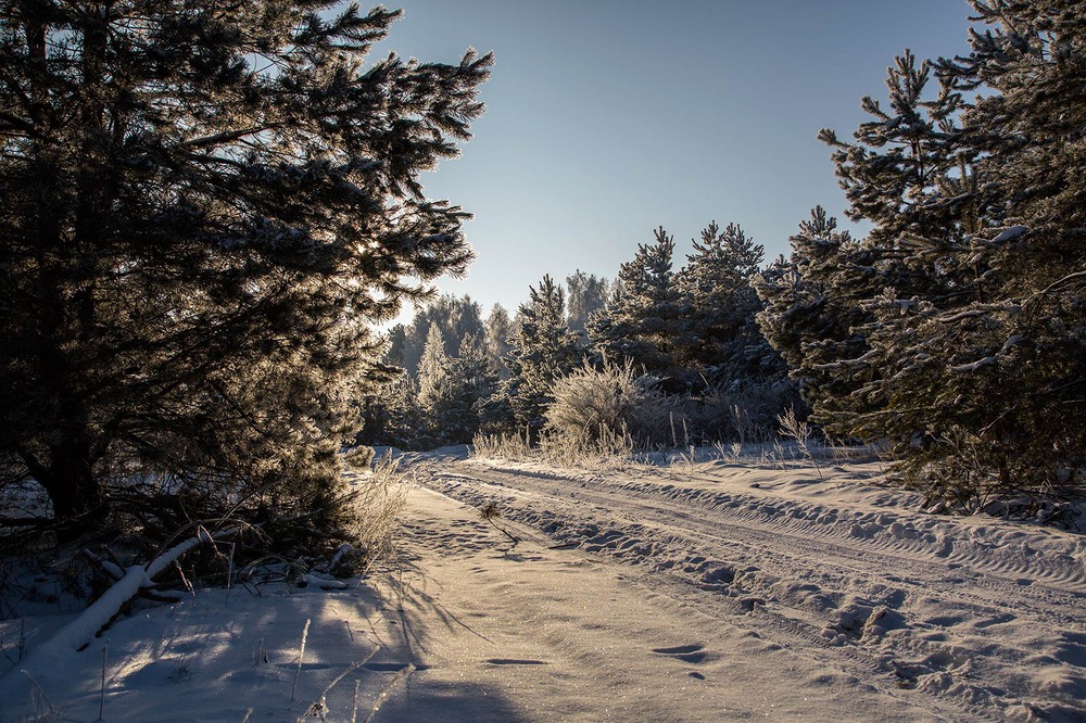 Фотографія Світло зими... / Ігор Кирильчук / photographers.ua