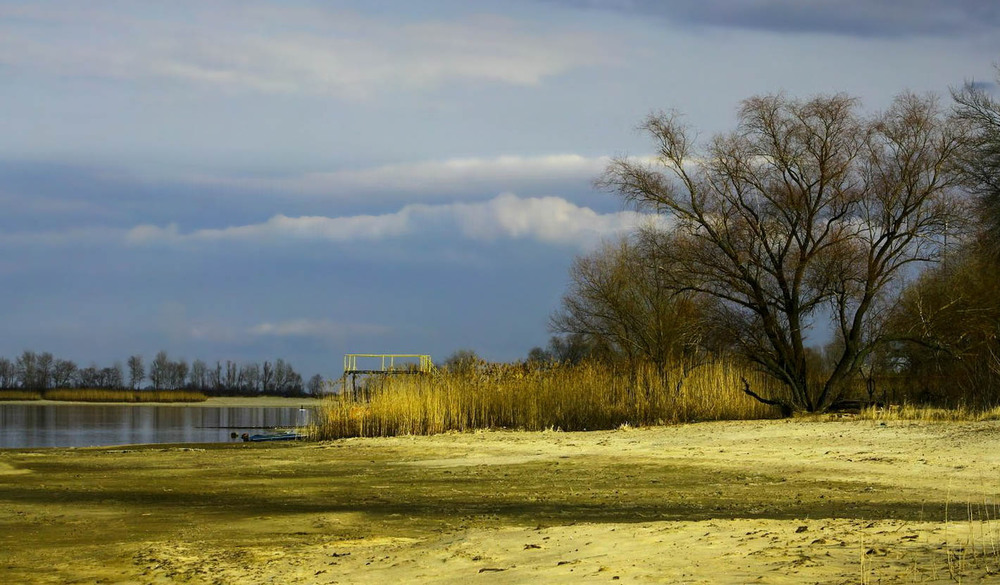 Фотографія Весняна кантата.(Кантата - вид лірічної поезії) / Volodymyr Shapoval VISt / photographers.ua