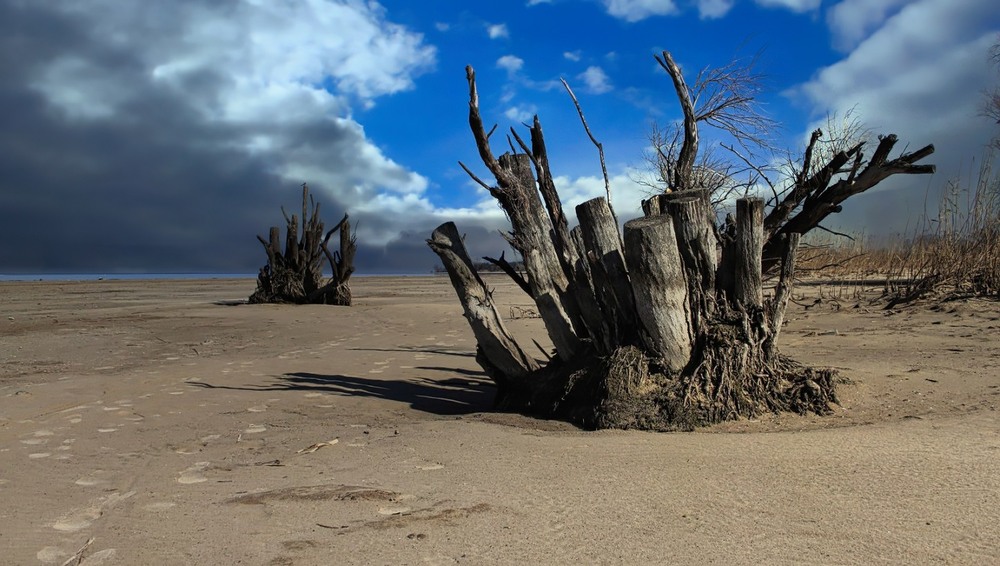 Фотографія Серед існуючого. / Volodymyr Shapoval VISt / photographers.ua