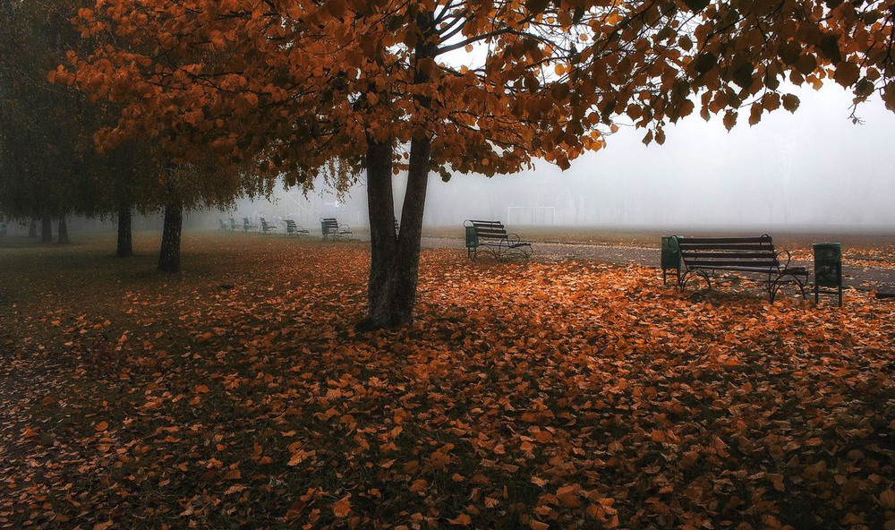 Фотографія Осень не спеши, зрители забыли. / Volodymyr Shapoval VISt / photographers.ua