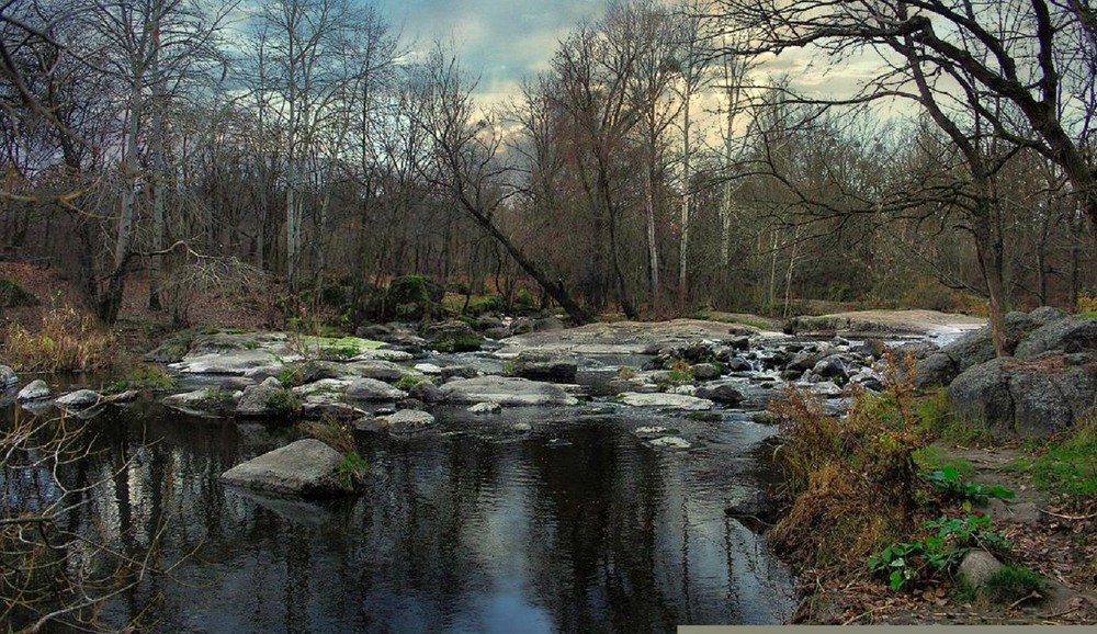 Фотографія Йде Осінь...з нею прохолода. / Volodymyr Shapoval VISt / photographers.ua