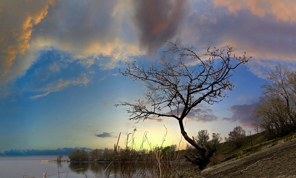 Фотографія Весняний ранок. / Volodymyr Shapoval VISt / photographers.ua