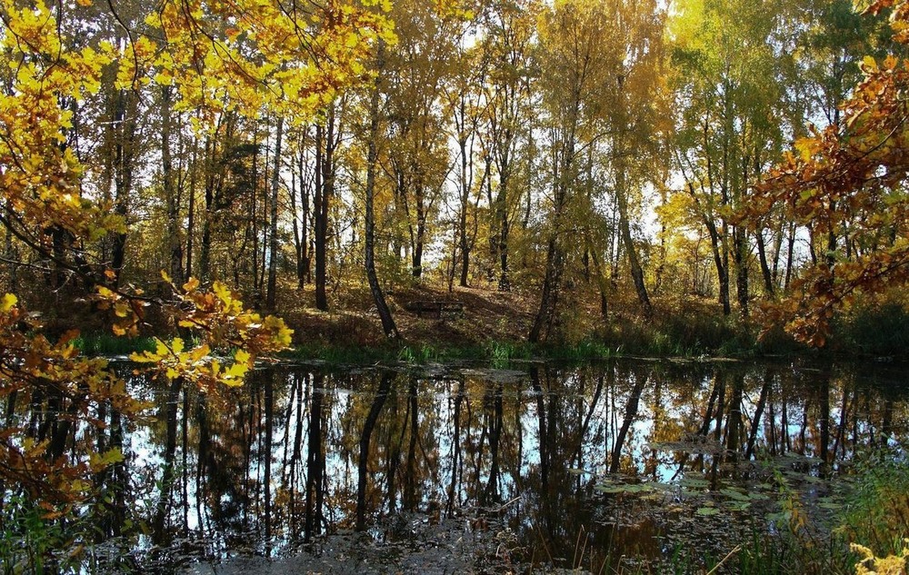 Фотографія Осіннє вишивання. / Volodymyr Shapoval VISt / photographers.ua