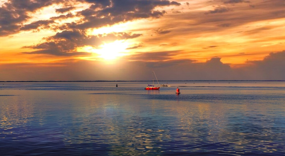 Фотографія Трохи лінощів сонного ранку, Трохи меду, води і лимону / Volodymyr Shapoval VISt / photographers.ua