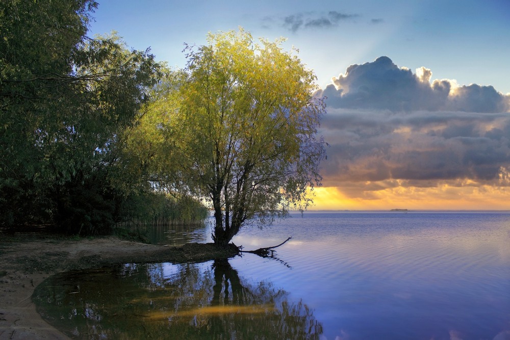 Фотографія Вечірнє сонце, дякую за втому. / Volodymyr Shapoval VISt / photographers.ua