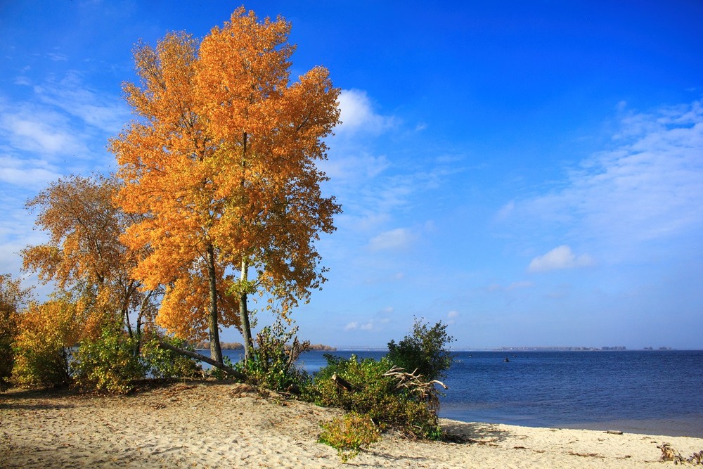 Фотографія Осінній день, пропише раптом барви золоті. / Volodymyr Shapoval VISt / photographers.ua