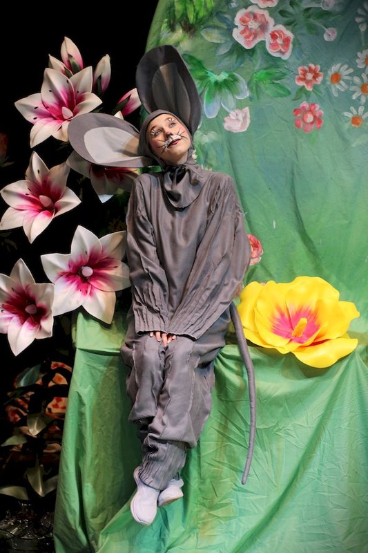 Фотографія Були собі мишенята, Круть та Верть, / Volodymyr Shapoval VISt / photographers.ua