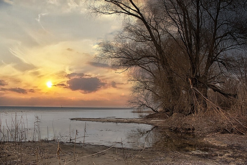 Фотографія Весна.Кольори міняються. / Volodymyr Shapoval VISt / photographers.ua