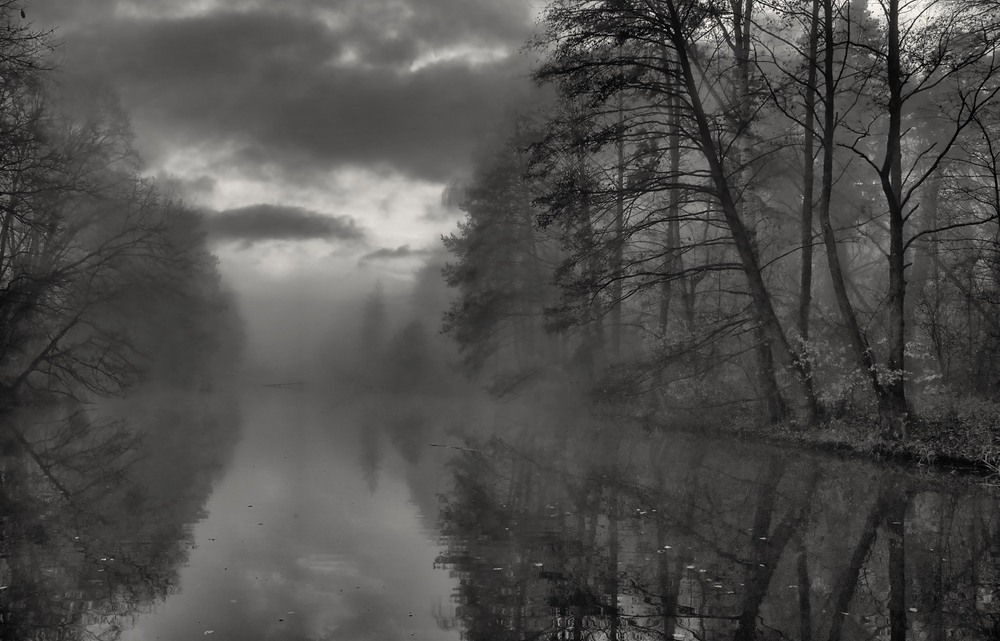 Фотографія Осанна осені, о сум! Осанна. / Volodymyr Shapoval VISt / photographers.ua