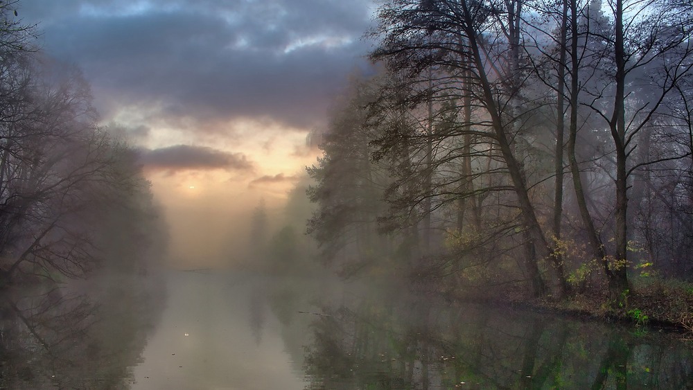 Фотографія Осанна осені, о сум! Осанна. / Volodymyr Shapoval VISt / photographers.ua