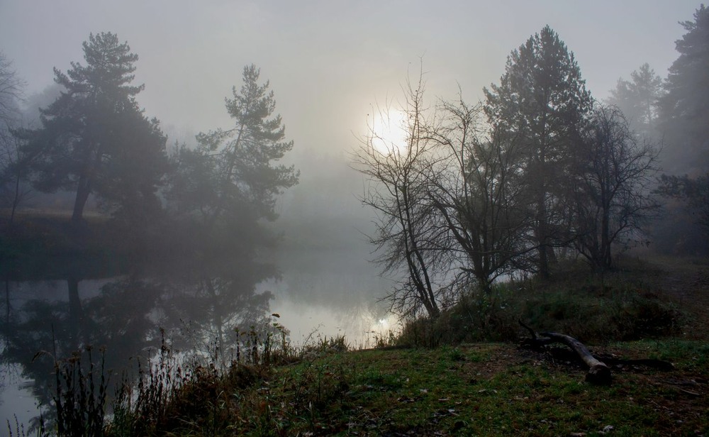Фотографія Заблукало сонце у тумані... / Volodymyr Shapoval VISt / photographers.ua