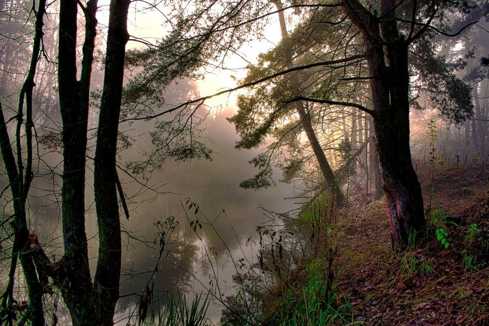 Фотографія Ранок.Прозорий сон. / Volodymyr Shapoval VISt / photographers.ua