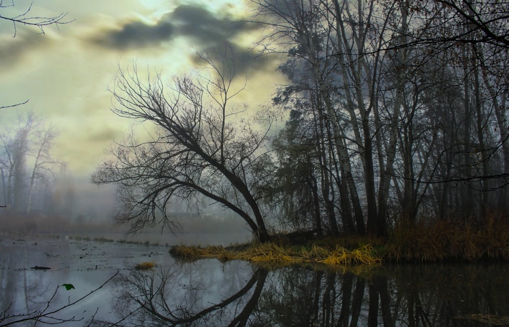 Фотографія Все більше хочеться мовчати. / Volodymyr Shapoval VISt / photographers.ua