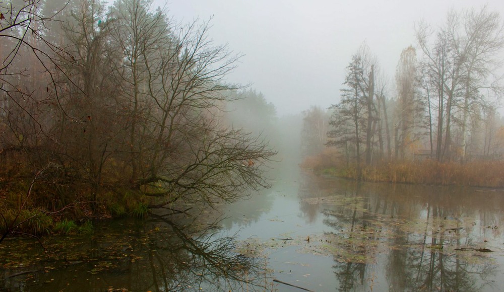 Фотографія А що там осінь? – знову тумани малює. / Volodymyr Shapoval VISt / photographers.ua