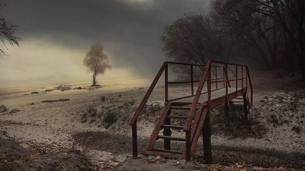 Фотографія Смуток нежданий ,вповзає мла. / Volodymyr Shapoval VISt / photographers.ua