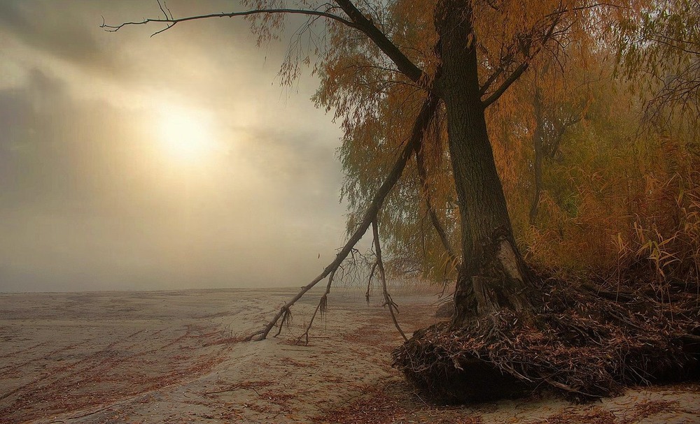 Фотографія Око пустища. / Volodymyr Shapoval VISt / photographers.ua