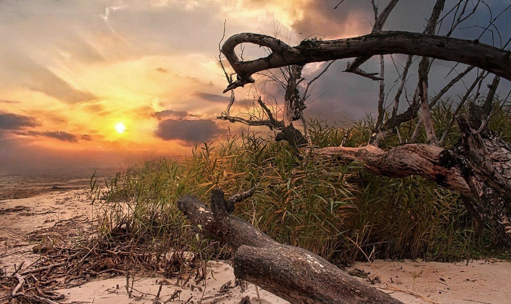 Фотографія Загублений берег — так бо звалася земля біля ріки,… / Volodymyr Shapoval VISt / photographers.ua