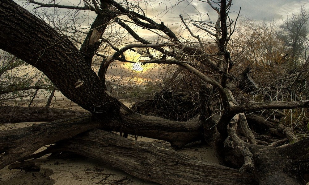 Фотографія В обійми ранку  закутаю думки . / Volodymyr Shapoval VISt / photographers.ua