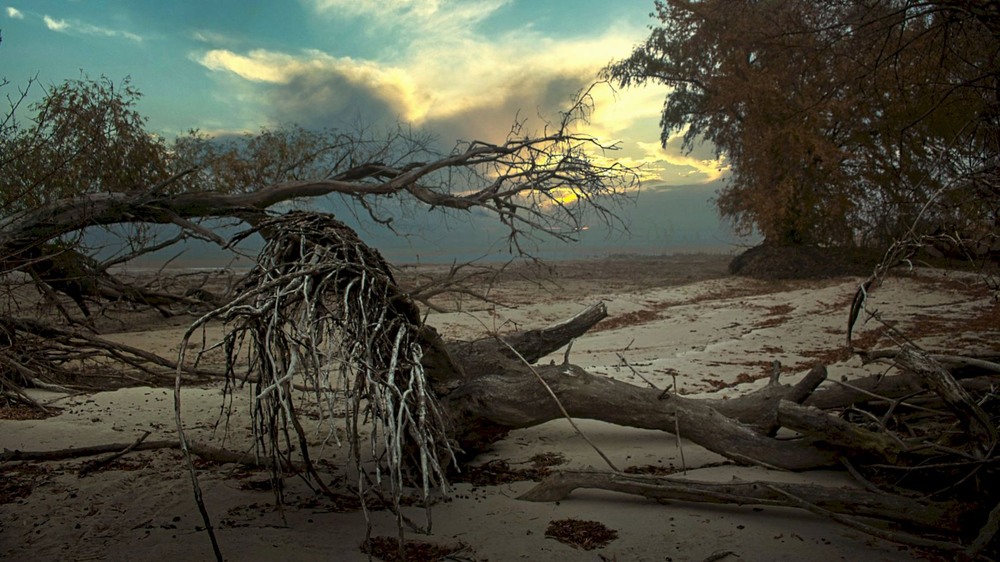 Фотографія Бо немає про що говорити і немає з ким. / Volodymyr Shapoval VISt / photographers.ua