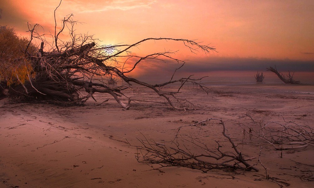 Фотографія Горять небеса. / Volodymyr Shapoval VISt / photographers.ua