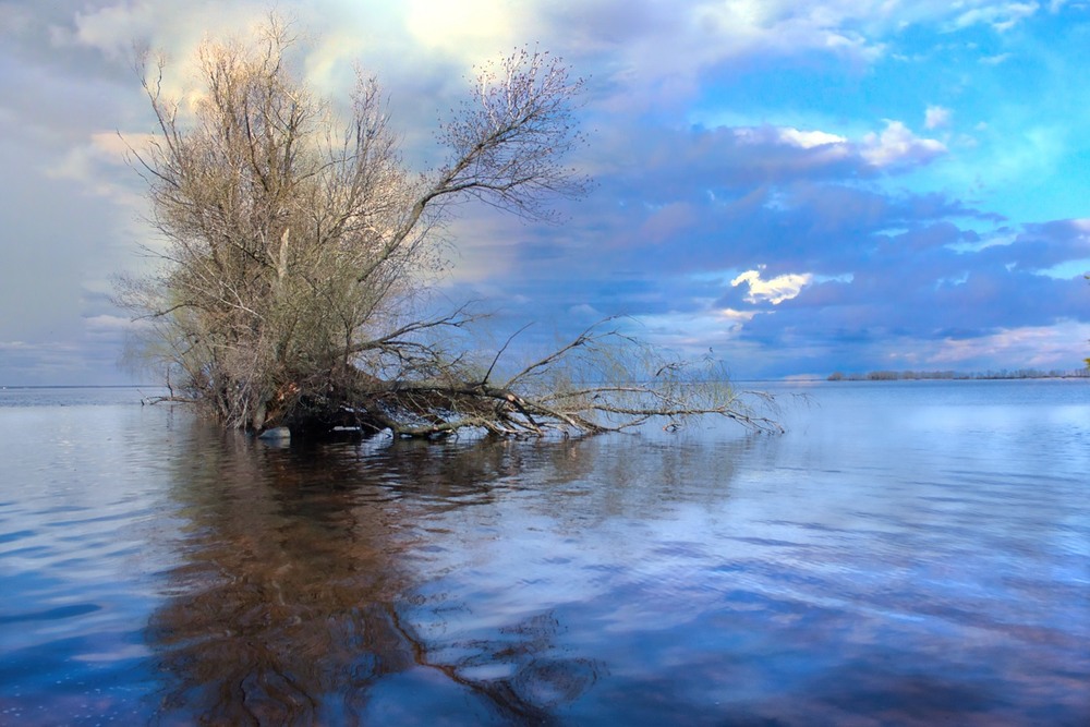 Фотографія Дихання / Volodymyr Shapoval VISt / photographers.ua
