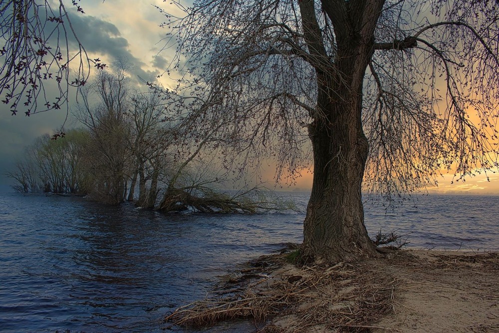 Фотографія Весняний ранок. / Volodymyr Shapoval VISt / photographers.ua