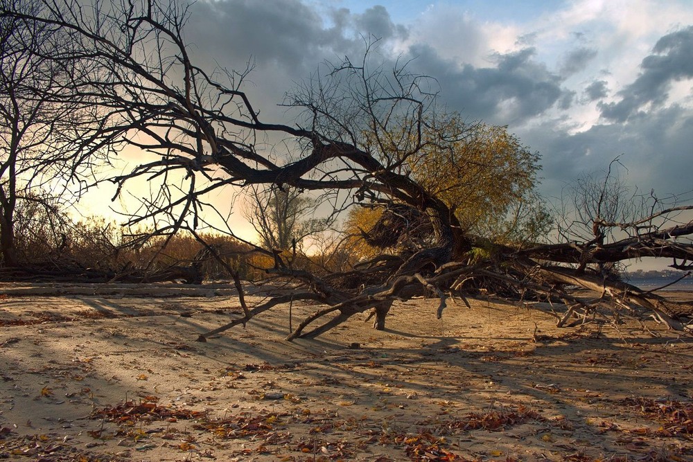 Фотографія Осінній ранок після нічноі бурі. / Volodymyr Shapoval VISt / photographers.ua