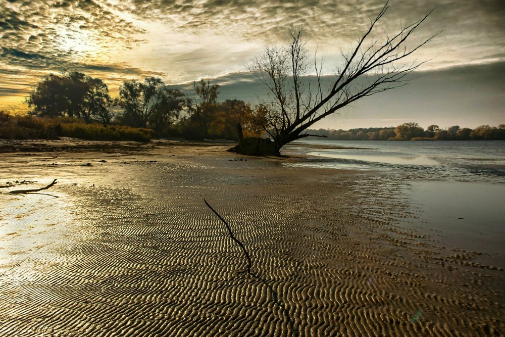 Фотографія Є мова піску - і це нею говорить ріка. / Volodymyr Shapoval VISt / photographers.ua