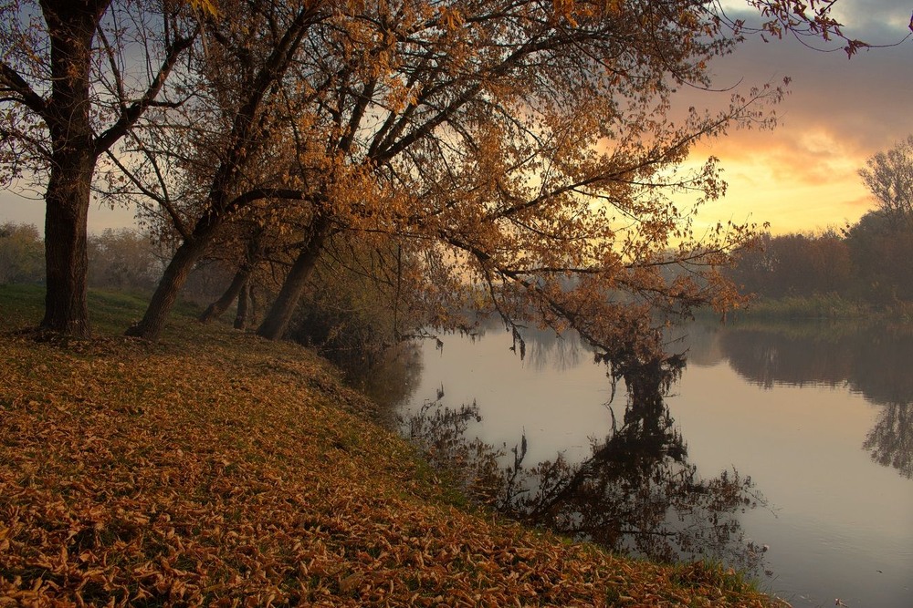 Фотографія Сум і радість в пейзажі звучить. / Volodymyr Shapoval VISt / photographers.ua