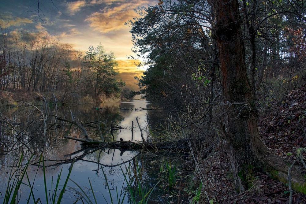 Фотографія Вже осінь. Господи, твори. / Volodymyr Shapoval VISt / photographers.ua