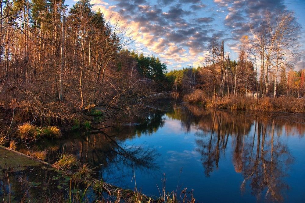 Фотографія Здригнувся заєць — ліс такий осінній, куди не ступиш, все щось шарудить! / Volodymyr Shapoval VISt / photographers.ua