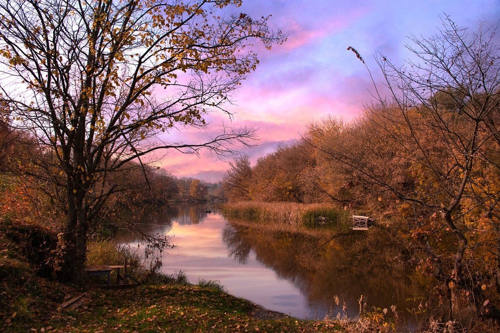 Фотографія Про осінь. / Volodymyr Shapoval VISt / photographers.ua