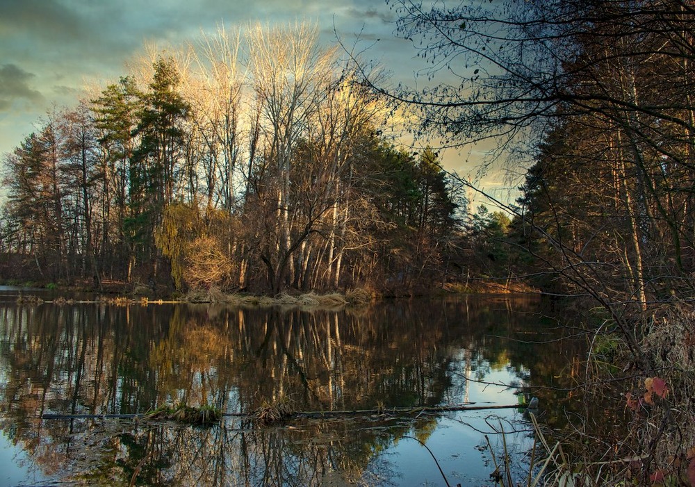 Фотографія Вечірнє сонце, дякую за втому. / Volodymyr Shapoval VISt / photographers.ua