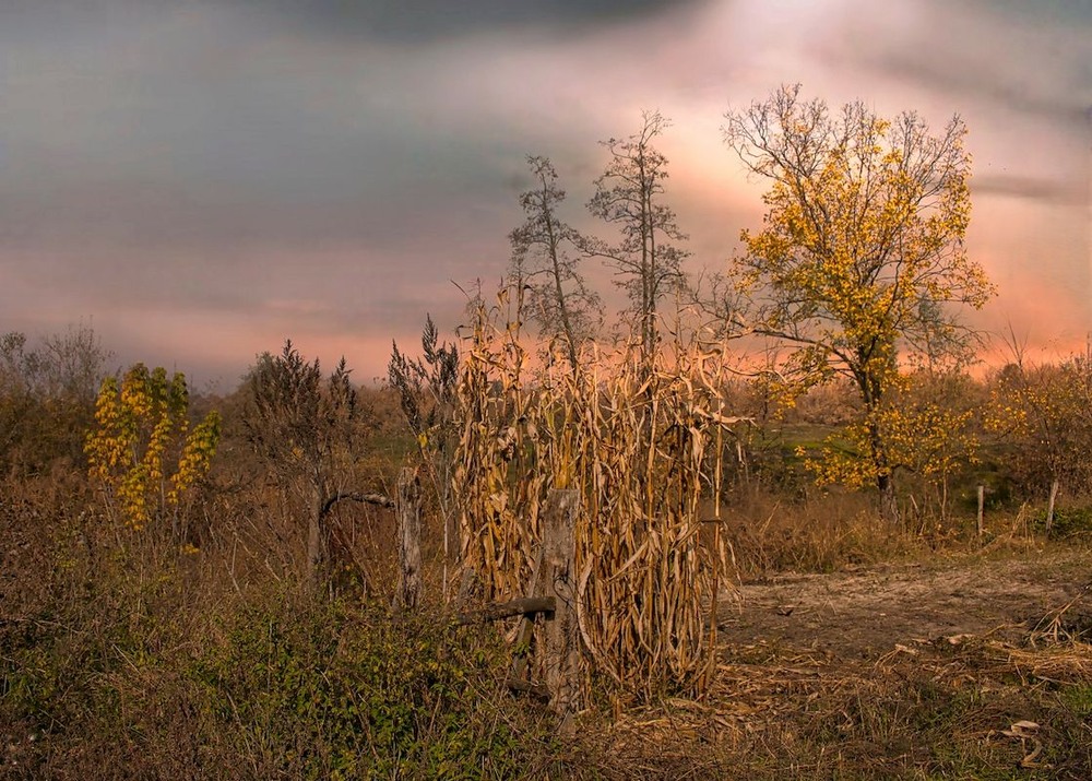 Фотографія Мамалига / Volodymyr Shapoval VISt / photographers.ua