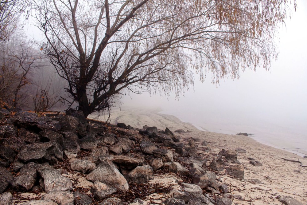 Фотографія Утро туманное,  снова седое. / Volodymyr Shapoval VISt / photographers.ua