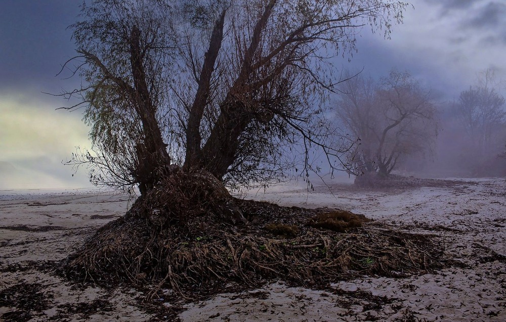 Фотографія За мурами осіннього ранку. / Volodymyr Shapoval VISt / photographers.ua