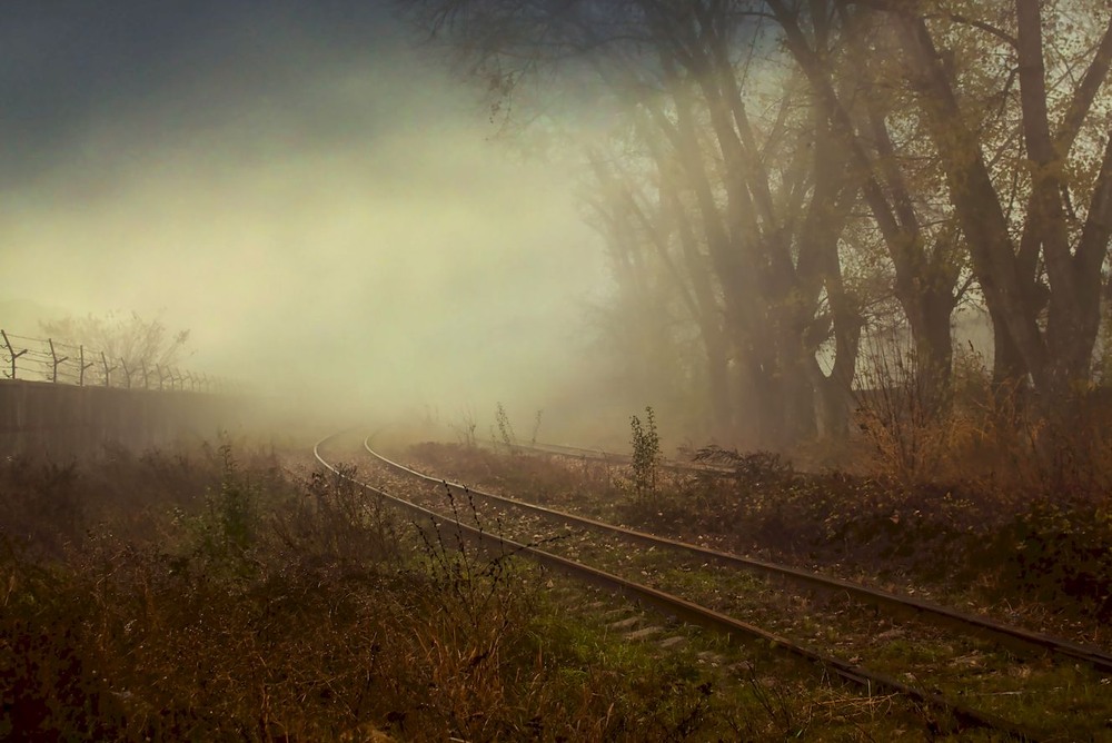 Фотографія Туманний ранок прокидався. / Volodymyr Shapoval VISt / photographers.ua