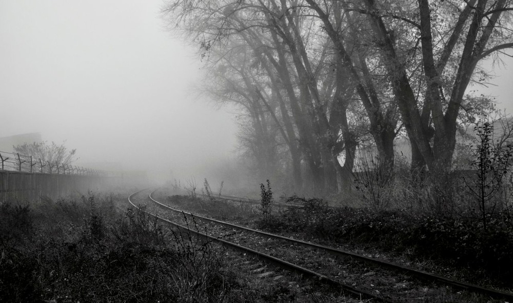 Фотографія У ранці знову вибрики туманні. / Volodymyr Shapoval VISt / photographers.ua