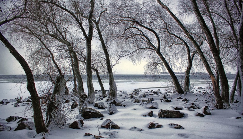 Фотографія Спогади про зиму. / Volodymyr Shapoval VISt / photographers.ua
