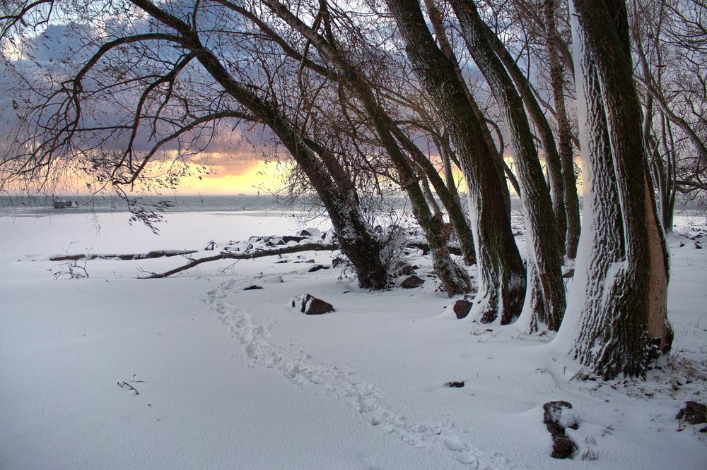 Фотографія Кругом сніги, зимова тиша. / Volodymyr Shapoval VISt / photographers.ua