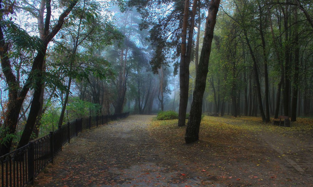 Фотографія Та осінь недовго побуде із нами. / Volodymyr Shapoval VISt / photographers.ua