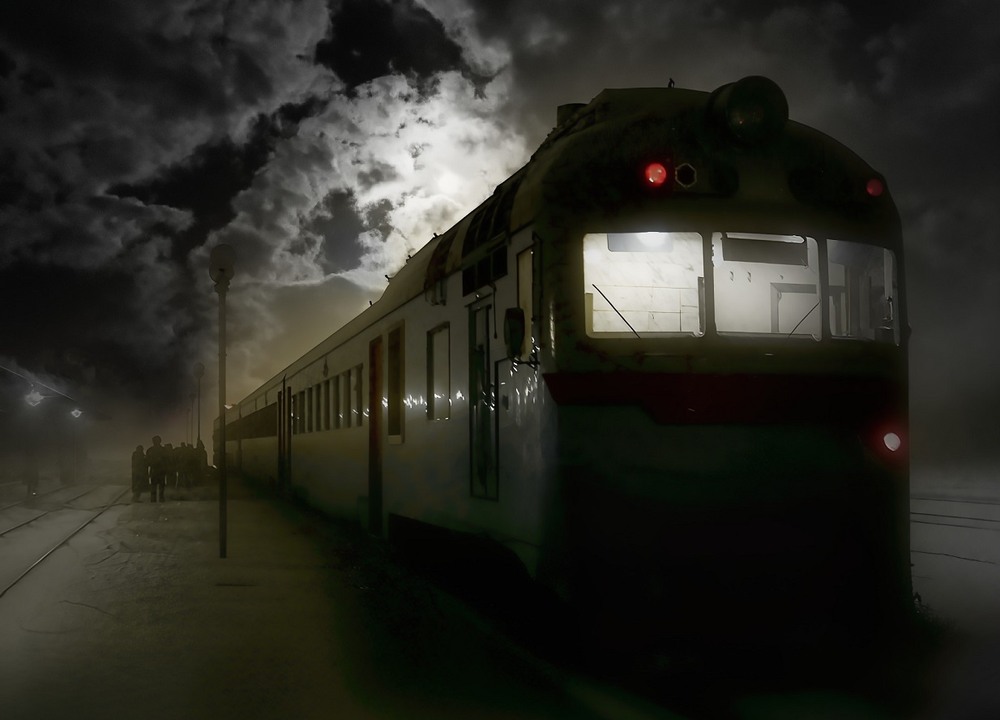 Фотографія Для кожного є свій комфорт. / Volodymyr Shapoval VISt / photographers.ua