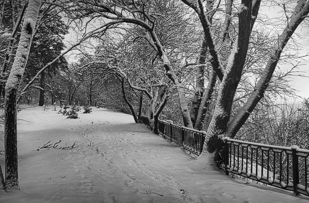 Фотографія Колись було.І зима була ,і сніг був. / Volodymyr Shapoval VISt / photographers.ua