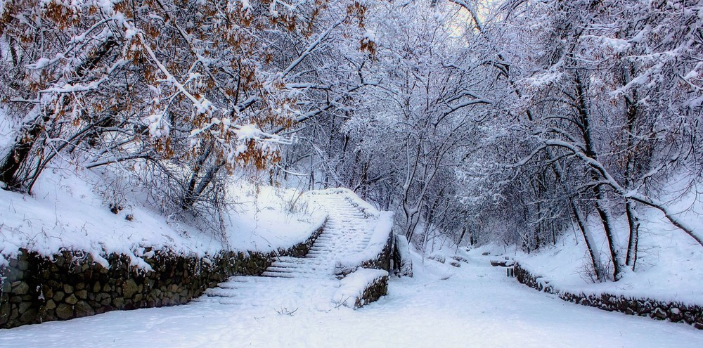 Фотографія Було безлюдно й сніжно. / Volodymyr Shapoval VISt / photographers.ua