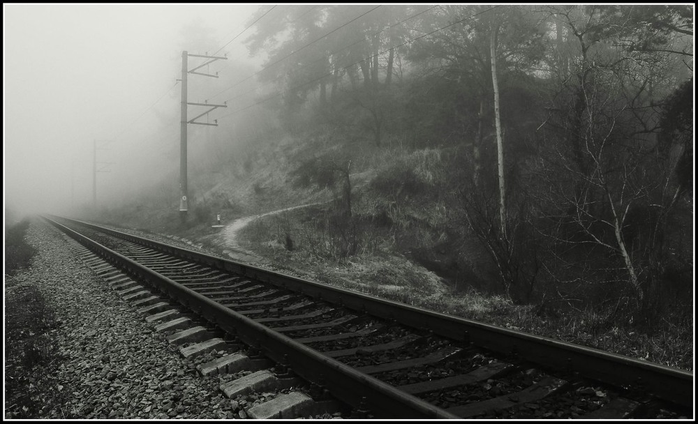 Фотографія Коли потяг у даль загуркоче . / Volodymyr Shapoval VISt / photographers.ua