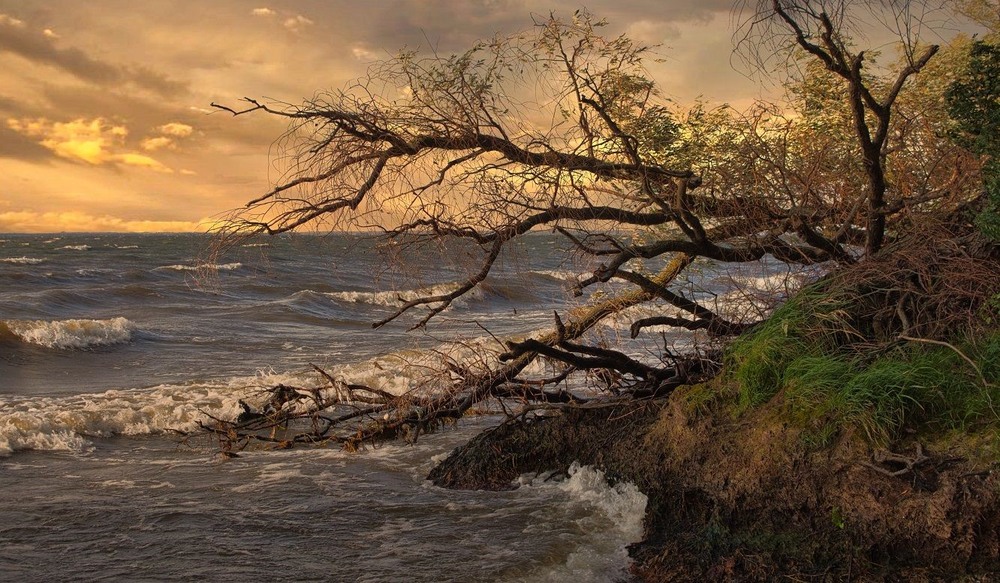 Фотографія Сідало сонце на спочинок, Та хмари фарбами ще грали. / Volodymyr Shapoval VISt / photographers.ua