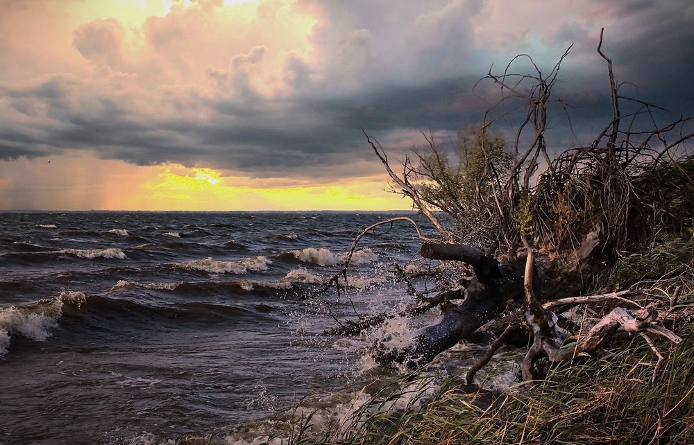 Фотографія До купи хмари всі зійшлися. В одну суцільну сіру шаль. / Volodymyr Shapoval VISt / photographers.ua